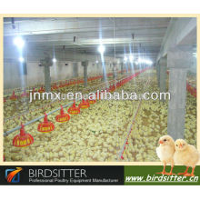 Modern Automatic Chicken Farm Equipment